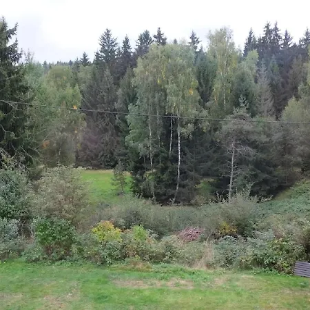 Am Wald Mit Sauna * Bad Elster